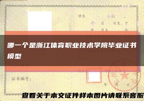 哪一个是浙江体育职业技术学院毕业证书模型缩略图