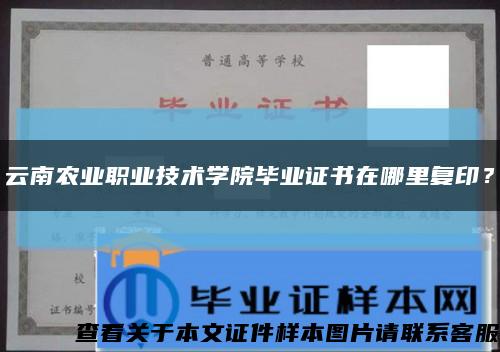 云南农业职业技术学院毕业证书在哪里复印？缩略图