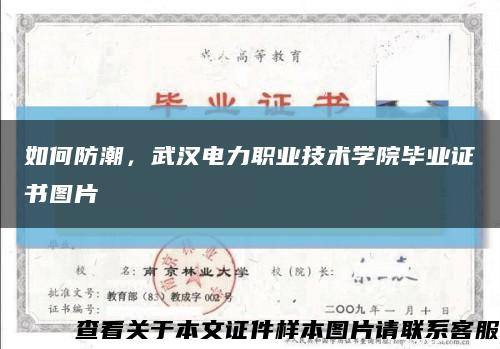 如何防潮，武汉电力职业技术学院毕业证书图片缩略图