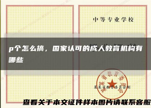 p个怎么搞，国家认可的成人教育机构有哪些缩略图