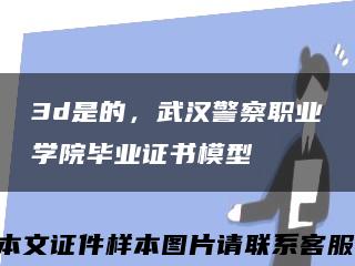 3d是的，武汉警察职业学院毕业证书模型缩略图