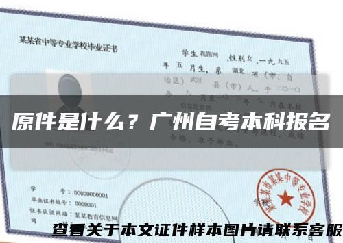 原件是什么？广州自考本科报名缩略图