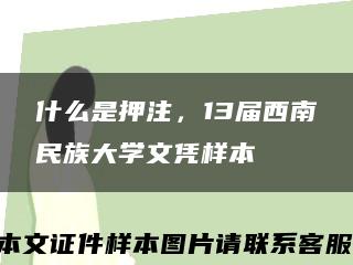 什么是押注，13届西南民族大学文凭样本缩略图