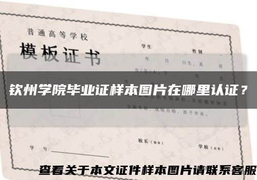 钦州学院毕业证样本图片在哪里认证？缩略图