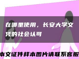 在哪里使用，长安大学文凭的社会认可缩略图