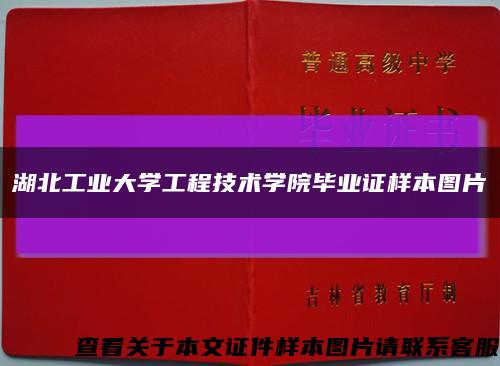 湖北工业大学工程技术学院毕业证样本图片缩略图