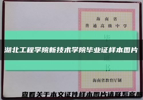 湖北工程学院新技术学院毕业证样本图片缩略图