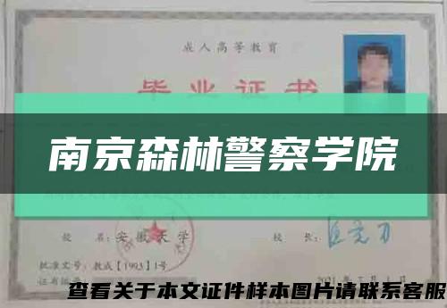 南京森林警察学院缩略图