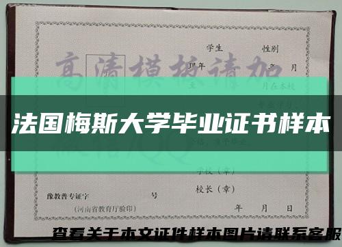 法国梅斯大学毕业证书样本缩略图