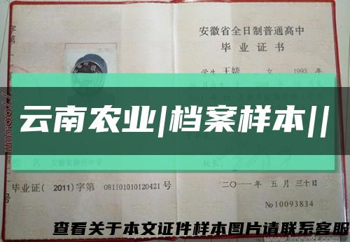 云南农业|档案样本||缩略图