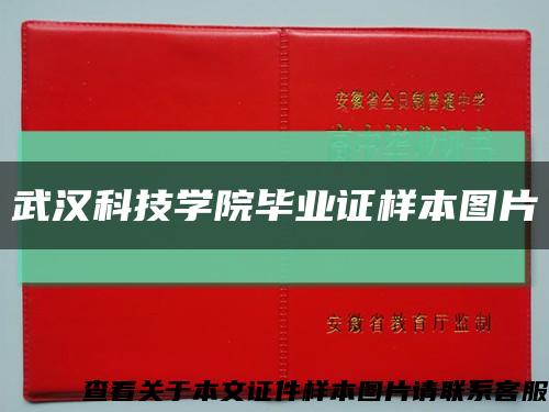 武汉科技学院毕业证样本图片缩略图