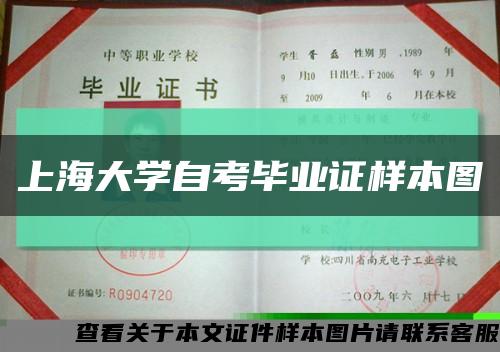 上海大学自考毕业证样本图缩略图