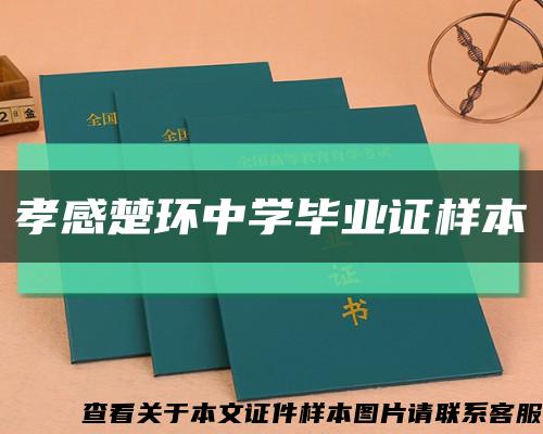 孝感楚环中学毕业证样本缩略图