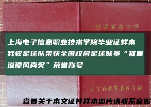 上海电子信息职业技术学院毕业证样本 我校足球队荣获全国校园足球联赛“体育道德风尚奖”荣誉称号缩略图