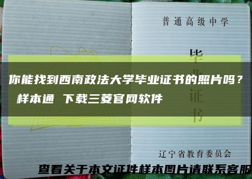 你能找到西南政法大学毕业证书的照片吗？ 样本通 下载三菱官网软件缩略图