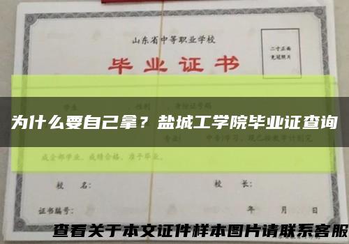 为什么要自己拿？盐城工学院毕业证查询缩略图