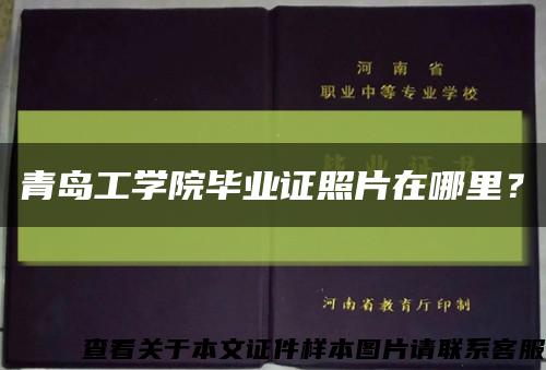 青岛工学院毕业证照片在哪里？缩略图