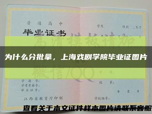 为什么分批拿，上海戏剧学院毕业证图片缩略图