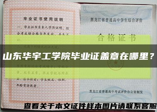 山东华宇工学院毕业证盖章在哪里？缩略图