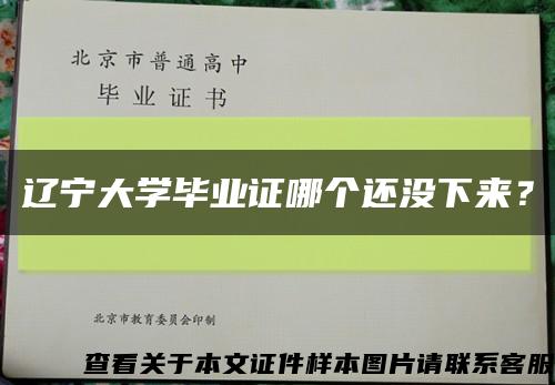 辽宁大学毕业证哪个还没下来？缩略图