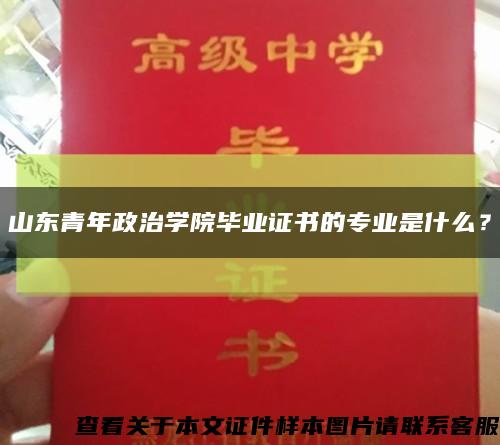 山东青年政治学院毕业证书的专业是什么？缩略图