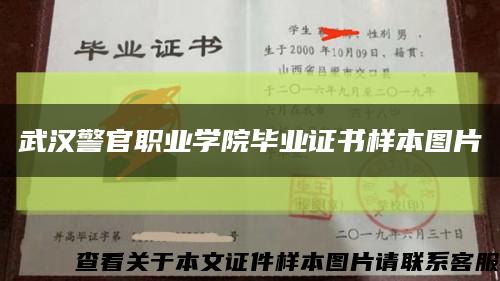 武汉警官职业学院毕业证书样本图片缩略图