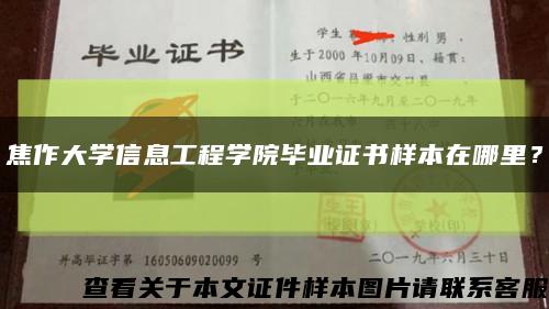 焦作大学信息工程学院毕业证书样本在哪里？缩略图