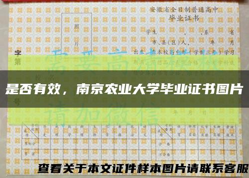是否有效，南京农业大学毕业证书图片缩略图
