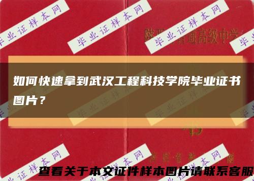 如何快速拿到武汉工程科技学院毕业证书图片？缩略图