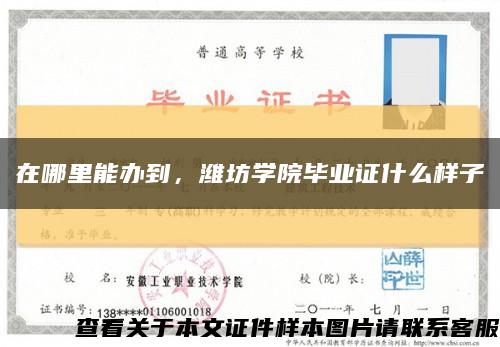 在哪里能办到，潍坊学院毕业证什么样子缩略图