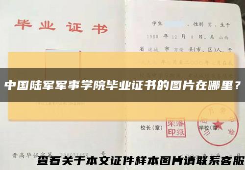 中国陆军军事学院毕业证书的图片在哪里？缩略图