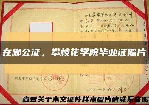 在哪公证，攀枝花学院毕业证照片缩略图