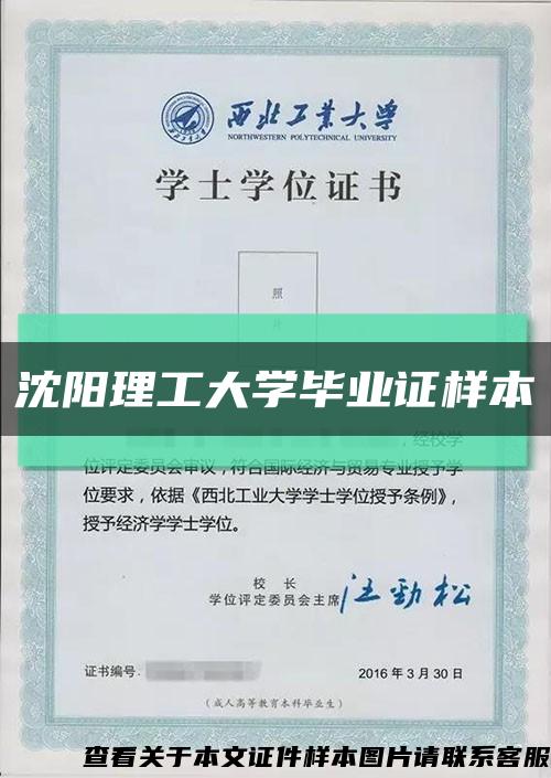 沈阳理工大学毕业证样本缩略图