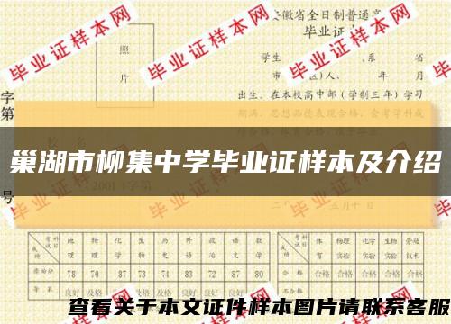 巢湖市柳集中学毕业证样本及介绍缩略图