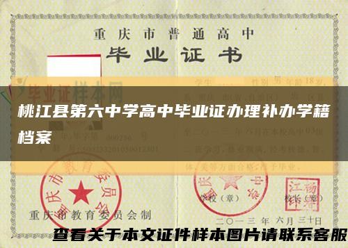 桃江县第六中学高中毕业证办理补办学籍档案缩略图