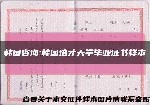 韩国咨询:韩国培才大学毕业证书样本缩略图