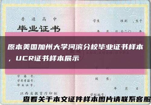 原本美国加州大学河滨分校毕业证书样本，UCR证书样本展示缩略图