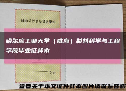 哈尔滨工业大学（威海）材料科学与工程学院毕业证样本缩略图