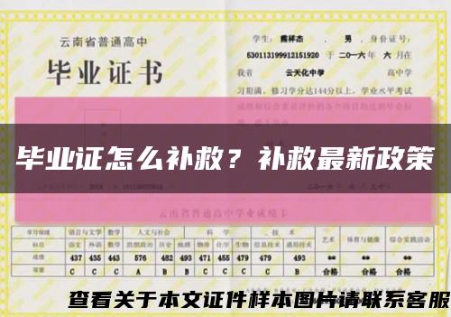 毕业证怎么补救？补救最新政策缩略图