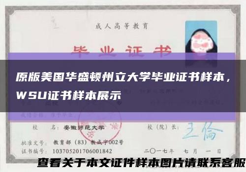 原版美国华盛顿州立大学毕业证书样本，WSU证书样本展示缩略图