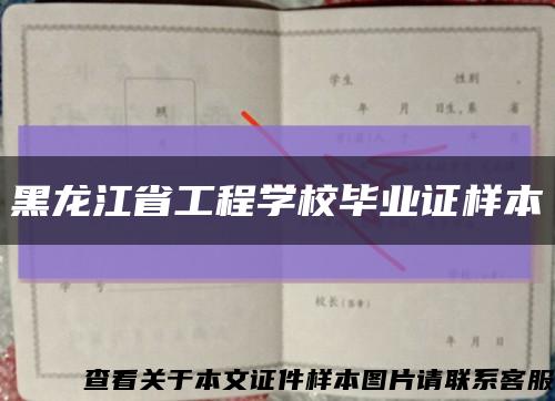 黑龙江省工程学校毕业证样本缩略图