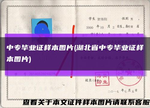 中专毕业证样本图片(湖北省中专毕业证样本图片)缩略图