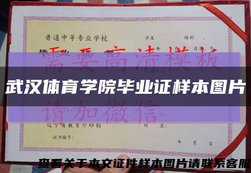 武汉体育学院毕业证样本图片缩略图