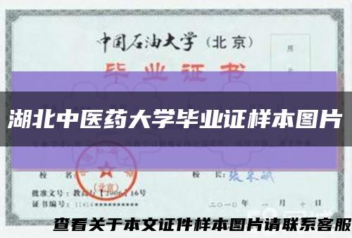 湖北中医药大学毕业证样本图片缩略图