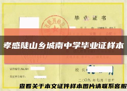 孝感陡山乡城南中学毕业证样本缩略图