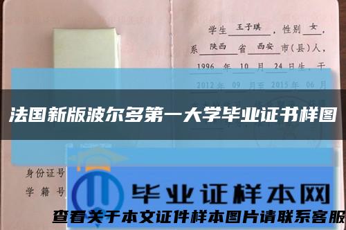 法国新版波尔多第一大学毕业证书样图缩略图