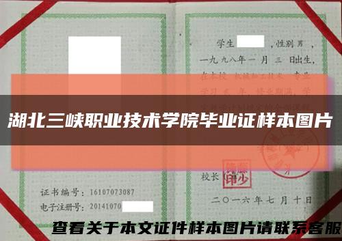 湖北三峡职业技术学院毕业证样本图片缩略图