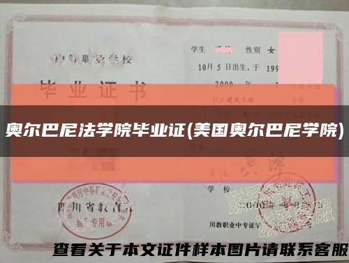 奥尔巴尼法学院毕业证(美国奥尔巴尼学院)缩略图