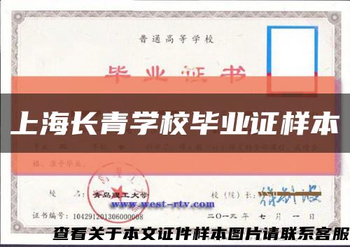 上海长青学校毕业证样本缩略图