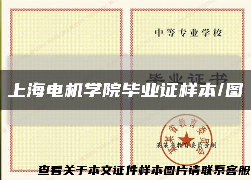 上海电机学院毕业证样本/图缩略图